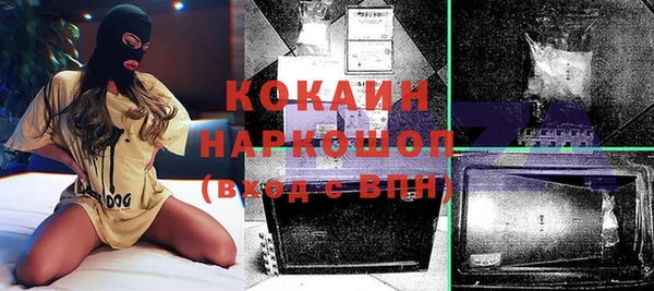 прущие грибы Армянск