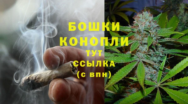 прущие крисы Балахна