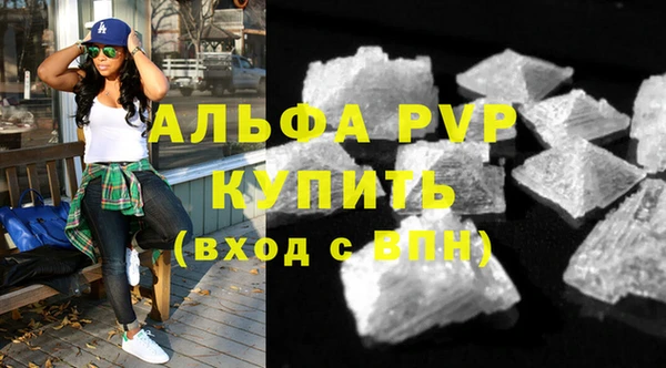 шишки Приозерск